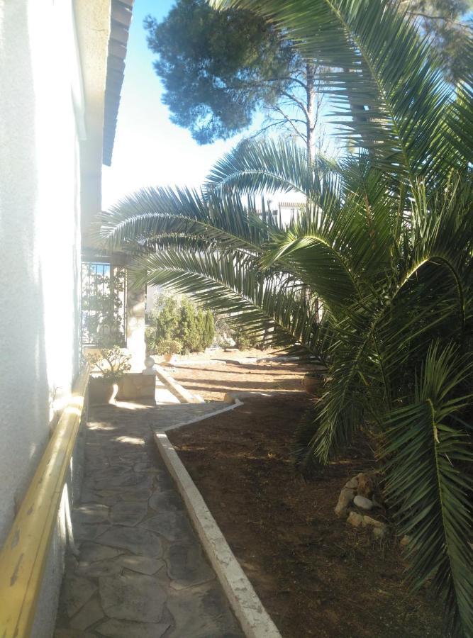 Villa Carmen - Chalet Privado Con Piscina, Jardin Y Barbacoa Alcossebre Exteriör bild