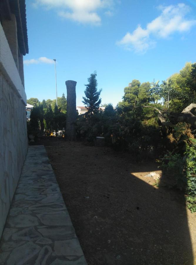 Villa Carmen - Chalet Privado Con Piscina, Jardin Y Barbacoa Alcossebre Exteriör bild